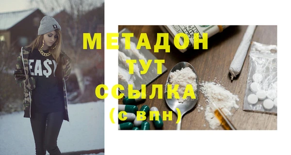 шишки Абаза