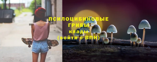 шишки Абаза
