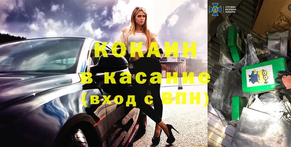 шишки Абаза