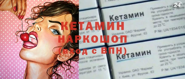 шишки Абаза