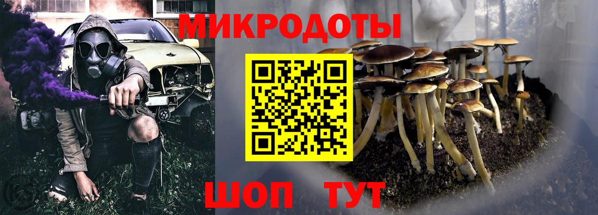 Галлюциногенные грибы GOLDEN TEACHER Новоалтайск