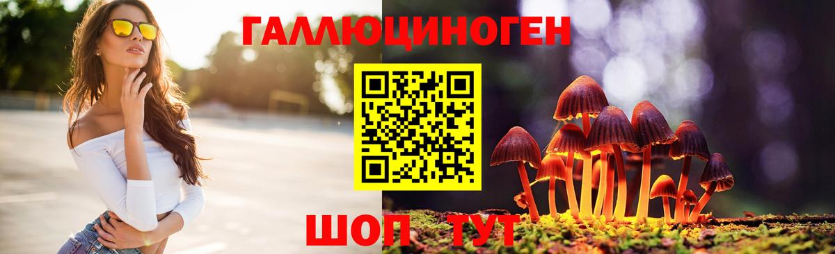 Галлюциногенные грибы MAGIC MUSHROOMS  Вход с VPN  где можно купить наркотик  Новоалтайск  Галлюциногенные грибы ЛСД 